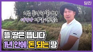 앞으로 1년 안에 뜨는, 돈 되는 땅 [합덕역, 계획관리]