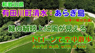 【ドローン映像】和歌山県有田川町あらぎ島（日本の棚田百選）緑の絨毯と風　2022年7月28日撮影