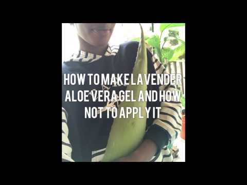 aloe vera lavender gel on natural hair aloe vera lavender gel on natural hair