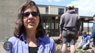 Plant-A-Palooza - Ithaca College's rooftop garden