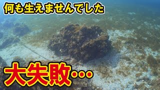 大失敗。１本も海藻が生えなかった藻場再生の方法