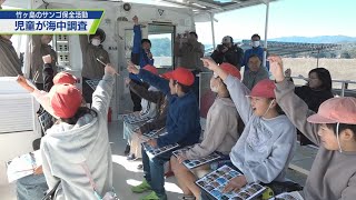 サンゴの海を守る 小学生が調査に参加【テレビトクシマ】