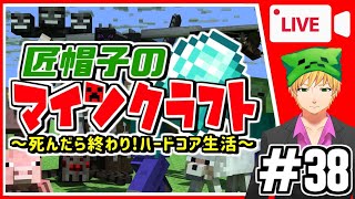 【マイクラ千日修行＃38】死んだら終わり！匠帽子のハードコア生活！【生放送】