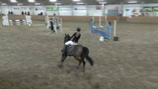 Järvinen Pinja \u0026 Piotr 100cm @ Ypäjä Winter Show 3.-5.3.2017