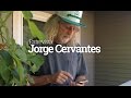 Entrevista Jorge Cervantes - Parte 1