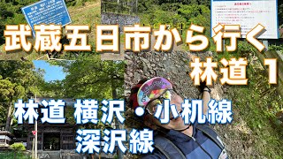 林道 横沢・小机線　深沢線　武蔵五日市から行く林道探索 1　久しぶりの完抜け林道【グラベルさんいらっしゃい】