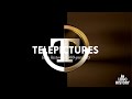 Telepictures Logo History (1980-present)