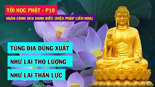 Tùng Địa Dũng Xuất – Như Lai Thần Lực | Tôi Học Phật – phần 10