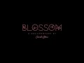 Blossom A Documentary by Carvd N Stone Official Trailer