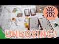 MASSIVE Esthetic Ants Unboxing!