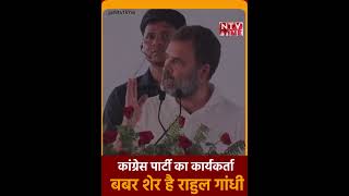 ntvtime #congress party का हर एक कार्यकर्ता ब्बर शेर है:rahul gandhi