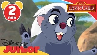 The Lion Guard | It’s UnBungalievable: Who's Mightier?| Disney Junior UK