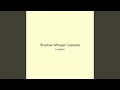 Shadow Whisper Cascade