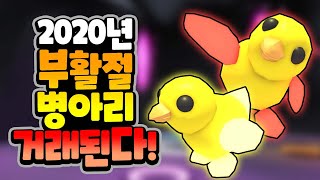 [입양하세요] 2020년 부활절 병아리를 메가로 만들고 거래까지 해봤어요