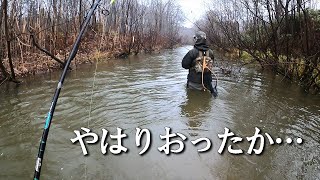 北海道で湿原の水路に潜むのは幻の○○○だった