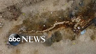 Fossilized skeleton of sea dragon excavated in UK l ABC News