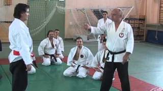 Jaszapati 2010 Aiki Ju Jutsu training Daniel Blanchet Cortellino Nicola Nagy Hinst Isvan