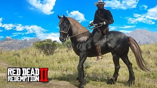 Em busca do MUSTANGUE NEGRO - Red Dead Redemption 2