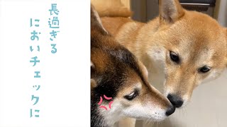 🐕我慢の限界です…｜PECO