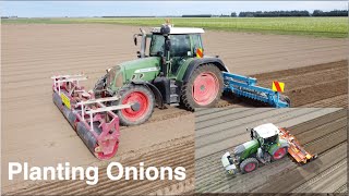 Bed Forming and Planting Onions | Fendt Vario 828 and 716