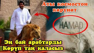 Бул эң бай АРАБтар Миллиярдтарын кайда коротушат? / Кандай жашайт