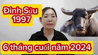 #tuổi   Đinh Sửu SN 1997 - 6 tháng cuối năm 2024 nam nữ!