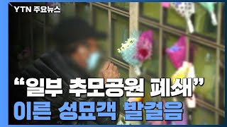 "설 연휴엔 대부분 추모시설 폐쇄"...이른 성묘객들 발걸음 이어져 / YTN