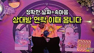 [타로/속마음] 상대방이 숨기고 말 못한 속마음💕+연락☎️