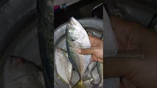 இந்த மீன் பேரு தெரியுமா😊| kanyakumari fish travelly fish