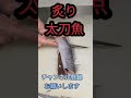 太刀魚捌き方 short shorts new fish japan howto world おすすめ 簡単 料理 釣り 趣味 楽しい チャレンジ 美味しい