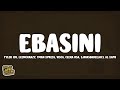 Tyler ICU - Ebasini (lyrics) ft. LeeMcKrazy, Tman Xpress, Ceeka RSA, Visca, Al Xapo, Sjavas DaDeejay