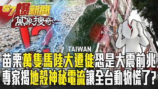 苗栗驚見「馬陸大遷徙」萬蟲鑽洞「恐是大地震前兆」？！專家揭地殼「神秘電流」讓全台動物都慌了？！-【57爆新聞 萬象搜奇】