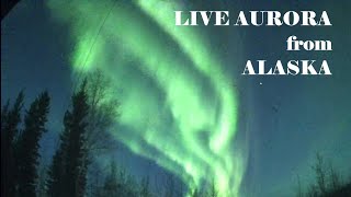 LIVE! Alaska Aurora Live Stream Jan 4-5, 2025