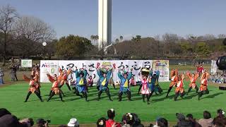 【4K】関学よさこい連 炎流(第12回堺よさこいかえる祭り/大仙公園会場)