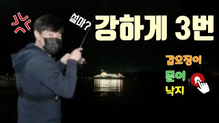 갑오징어 낚시 중에 3번이나 강한 입질 누구냐? 넌  쪼꼬미에기  Octopus fishing