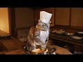 a cat chef makes udon【healing kitty】