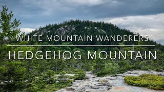 Hedgehog Mountain • Hiking the White Mountains of New Hampshire • 52 with a View