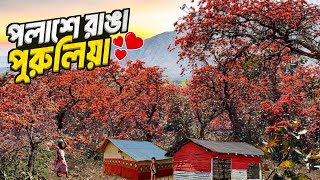 পুরুলিয়ার পলাশে বসন্তের আগুন! 🌺 রাঙা পথে এক স্বপ্নিল ভ্রমণ | Palash Festival Purulia 🥰