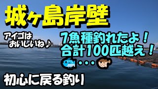 【第36話】 城ヶ島岸壁で7魚種！釣果100匹越え！アイゴっておいしいよ！【2022-06-04】