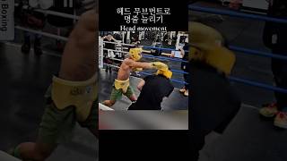 일본프로선수와 스파링..피하지 못하면 죽는다..(펀치에서 폭탄소리남)...#boxing #권투 #복싱 #스파링 #boxer #스파링영상 #아웃복싱 #복싱스파링