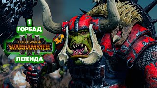 Total War: Warhammer 3 Легенда Зеленокожие - Горбад [1]