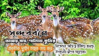 সুন্দরবনের উপকূলীয় এলাকার মানুষ নিজেদের অস্তিত্ব টিকিয়ে রাখছে প্রকৃতির সাথে | ডাঙ্গায় বাঘ, কুমির