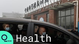 Coronavirus: WHO Team Visits Wuhan Virology Lab in China