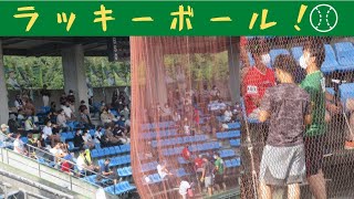 【プロ野球⚾】ボールキャッチ！ 大分B-リングス ラッキーセブン～vs火の国サラマンダーズ＠大分県竹田市210919～