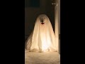 adorable puppies dressed like ghosts haunt house halloween dogs shorts