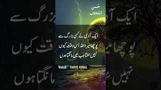 Best Urdu Quotes 84 | Islamic Quotes | Golden Words | Urdu Quotes Status | #Shorts | HusneIntikhab