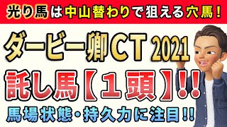 ダービー卿チャレンジトロフィー2021【託し馬1頭】公開！このレースは「馬格ある中山巧者」から勝負します。