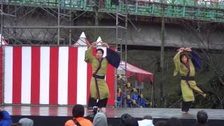 肥後荒尾さのよい踊り子隊　2016市比野温泉よさこい祭り