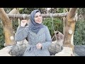 مديح المصطفى يشفي السقاما 🌺 ومادحه يؤمن في القيامه 👌 انشاد/ هاجر عمر