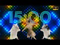 15 Minutes 4K Animal Dance Party with Party Dance Mix 🤘🎵